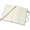 Еженедельник MOLESKINE ACADEMIC L`PETIT PRINCE WKNT LARGE (зеленый) DPP18WN3Y22