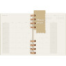 Еженедельник Moleskine SPIRAL XL DHSPK5312MWH4Y23 оливковый
