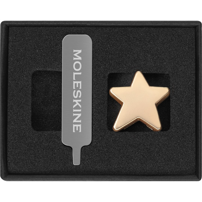 Шильд-символ MOLESKINE PINSTARGOLD звезда